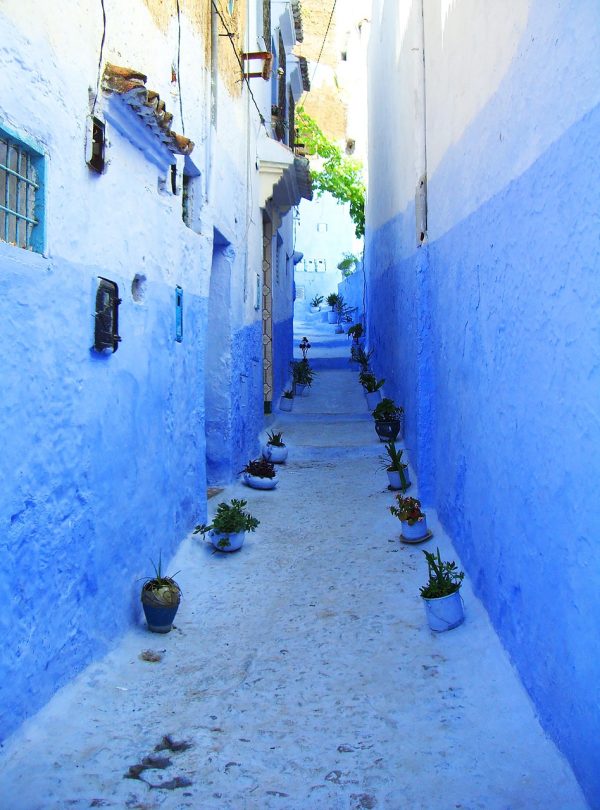 8 days Morocco tour from Marrakech to Fes and Chefchaouen