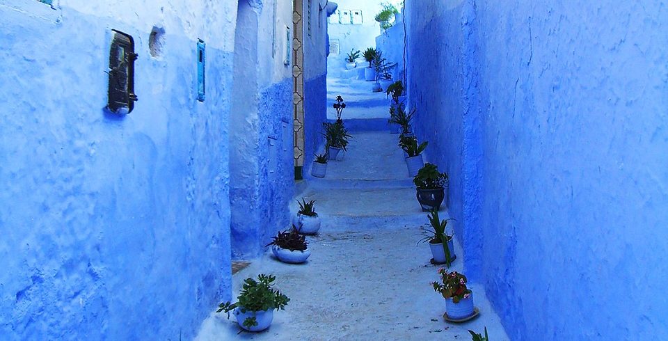 8 days Morocco tour from Marrakech to Fes and Chefchaouen