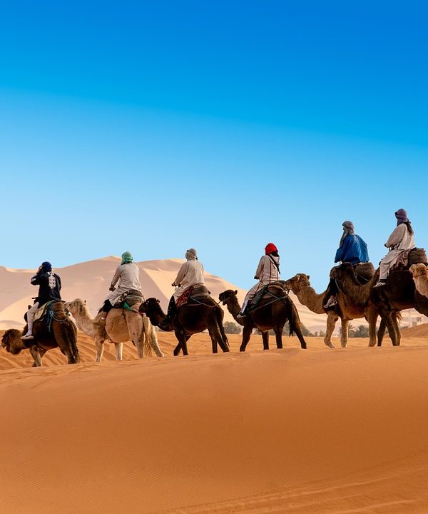 desert, the sand dunes, caravan, camel, berber, morocco, sahara, landscape, africa, sand, hot, nature, adventure, dune, drought, sky, peace of mind, marroc, travels, tourism, mood, erg chebbi, merzouga, camel, morocco, morocco, morocco, sahara, merzouga, merzouga, merzouga, merzouga, merzouga