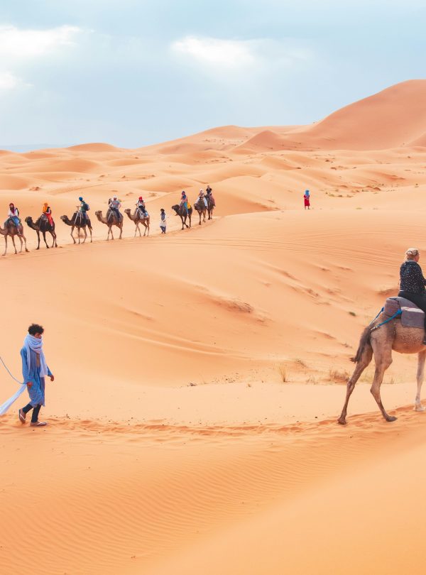 Tourists ride camels across the scenic sand dunes of Merzouga, Morocco.