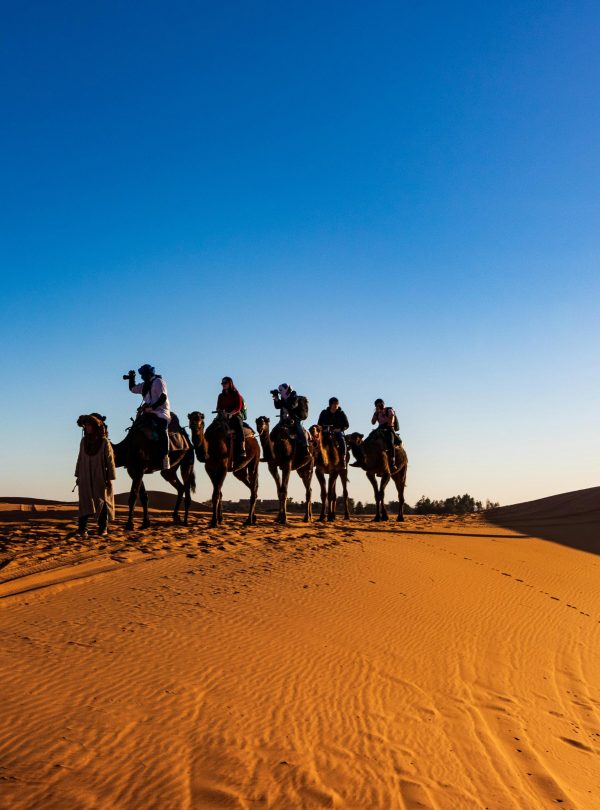 A group of travelers on camels crossing the sandy dunes of the Sahara Desert under a clear blue sky.