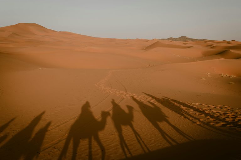 5 Days Tour from Ouarzazate to Merzouga Desert