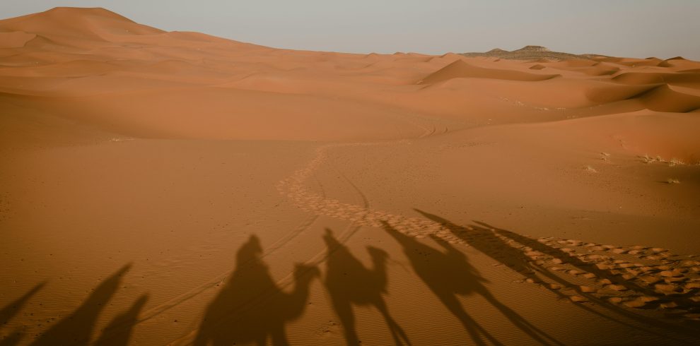 5 Days Tour from Ouarzazate to Merzouga Desert