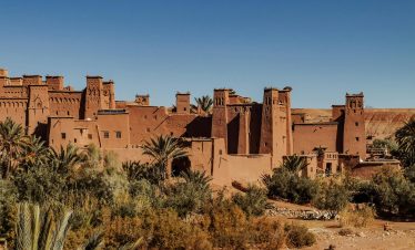 Exterior of old masonry buildings with square shaped windows near dry sandy terrain with growing palm trees and grass under blue sky