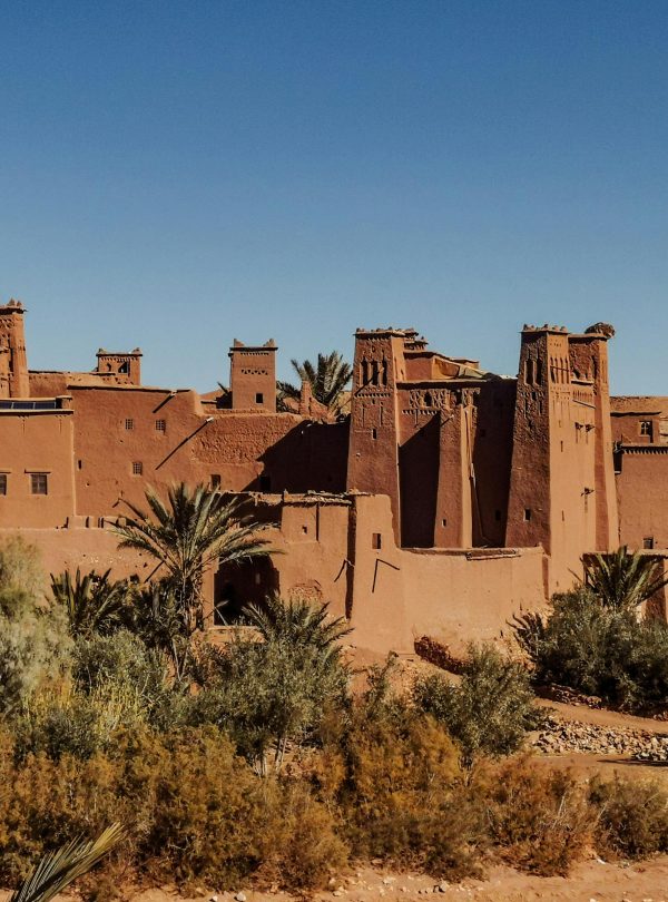 Exterior of old masonry buildings with square shaped windows near dry sandy terrain with growing palm trees and grass under blue sky