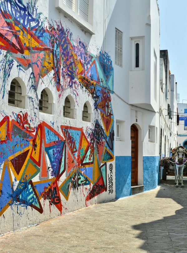 14 Days Morocco Tour from Casablanca