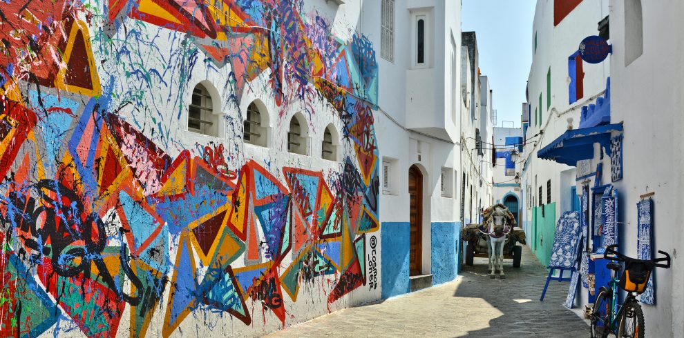 14 Days Morocco Tour from Casablanca